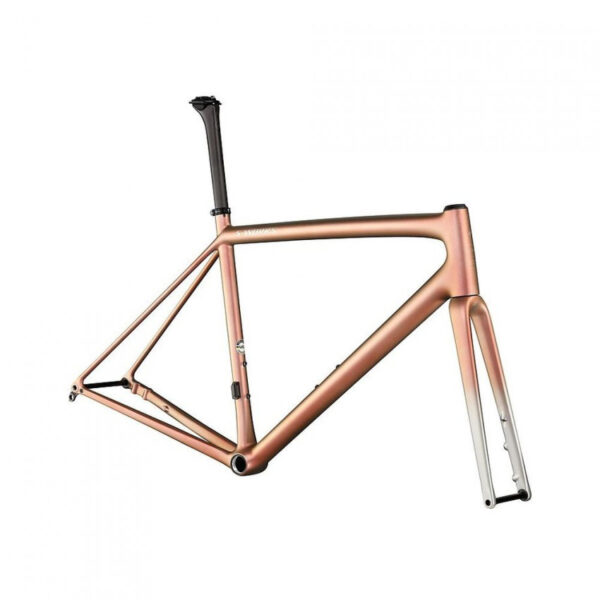 S-WORKS AETHOS CADRE 2022 SPECIALIZED